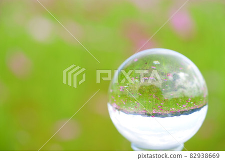 Fairy tale in the cosmos field 82938669