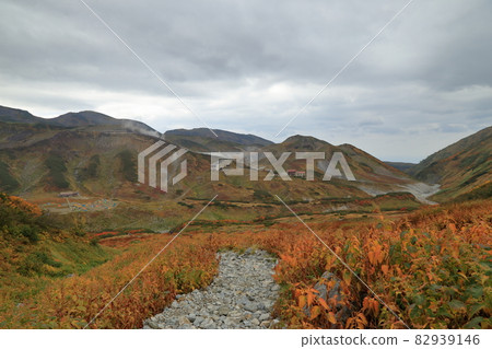 從雷朝澤到雷朝澤露營地的風景 82939146
