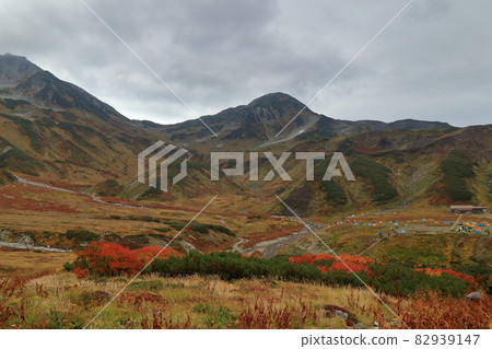 從雷朝澤到雷朝澤露營地的風景 從雷朝澤到雷朝澤露營地的風景 82939147