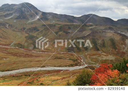 從雷朝澤到雷朝澤露營地的風景 從雷朝澤到雷朝澤露營地的風景 82939148