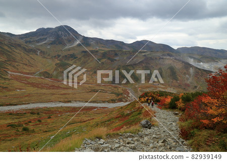 從雷朝澤到雷朝澤露營地的風景 從雷朝澤到雷朝澤露營地的風景 82939149