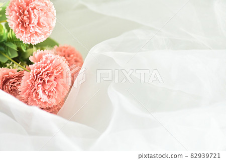 Pink carnation background 82939721