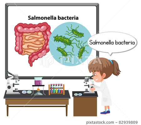 Young doctor explaining salmonella bacteria Young doctor explaining salmonella bacteria 82939809