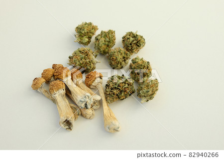 Layout of dried psilocybe mushrooms and marijuana buds on white background. Layout of dried psilocybe mushrooms and marijuana buds on white background. 82940266