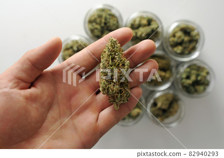 Weed stuff. Cannabis drying and curing. Grower man holds a marijuana bud on white background 82940293