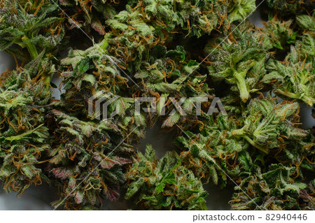 Fresh marijuana buds close-up. Cannabis flowers on white background Fresh marijuana buds close-up. Cannabis flowers on white background 82940446