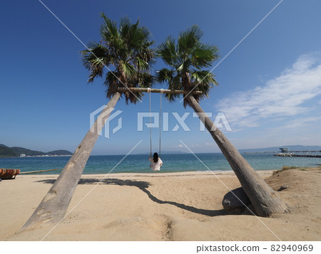 Itoshima City, Fukuoka Prefecture Palm Tree Blanco 82940969