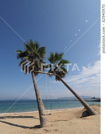 Itoshima City, Fukuoka Prefecture Palm Tree Blanco Itoshima City, Fukuoka Prefecture Palm Tree Blanco 82940970