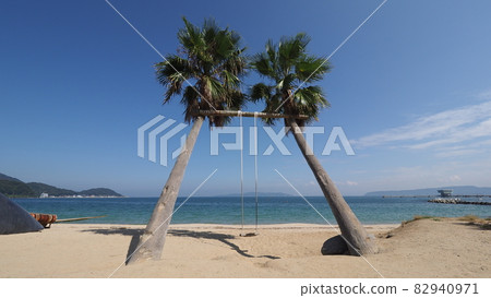 福岡縣絲島市 Palm Tree Blanco 82940971