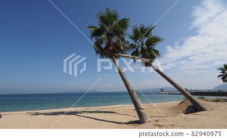 Itoshima City, Fukuoka Prefecture Palm Tree Blanco Itoshima City, Fukuoka Prefecture Palm Tree Blanco 82940975