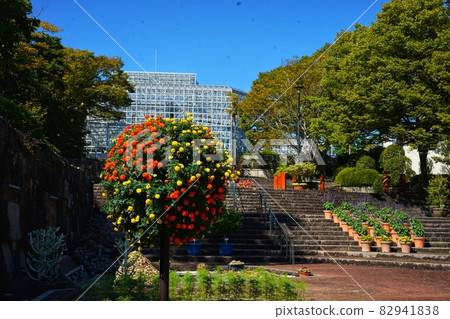 Scenery of Hiroshima Botanical Garden, Hiroshima Prefecture Scenery of Hiroshima Botanical Garden, Hiroshima Prefecture 82941838