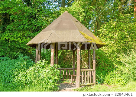 Image of a hiker's shelter in a forest path in summer Image of a hiker's shelter in a forest path in summer 82943461