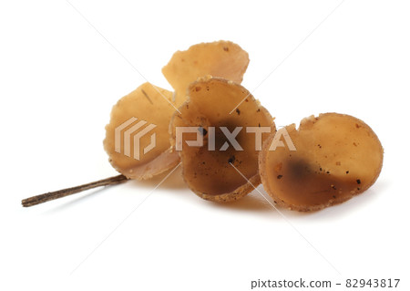 Peziza mushroom isolated on white background 82943817