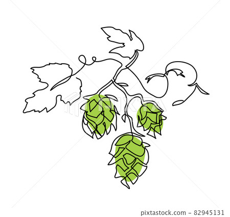 Hop twig vector sketch. One continuous line art drawing of green cones. Branch of hops, minimalist art illustration 82945131
