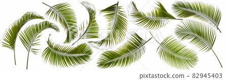 leaf collection 82945403