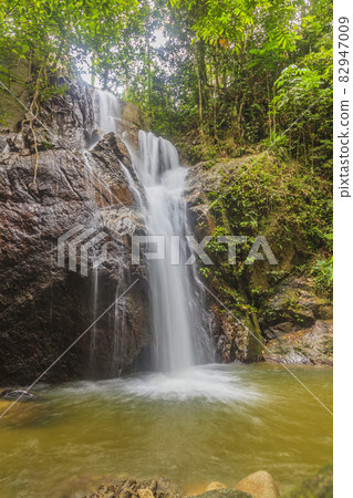 Waterfall in the jungle of Malaysia 82947009
