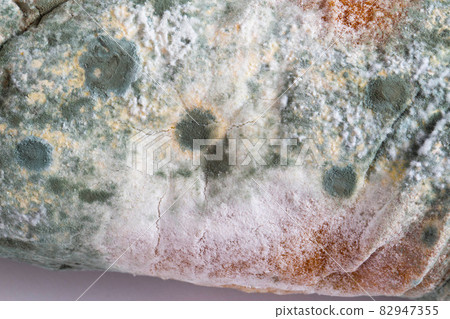 Green moldy bread on a white background, isolate. Loaf with mold, macro Green moldy bread on a white background, isolate. Loaf with mold, macro 82947355
