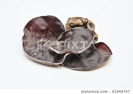 Greenhouse Greenhouse 82948747