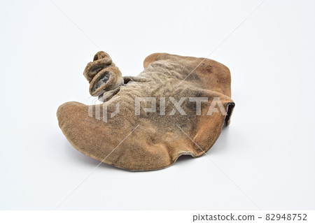 Greenhouse Greenhouse 82948752