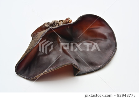 Greenhouse Greenhouse 82948773