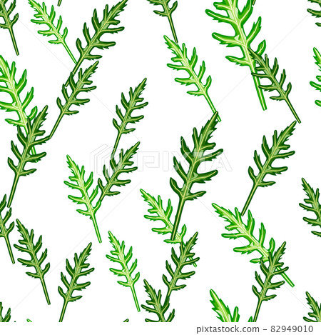Seamless pattern bunch arugula salad on white background. Simple ornament with lettuce. 82949010