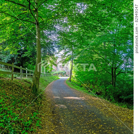 Impression from access road to medieval castle of Miltenberg during daytime Impression from access road to medieval castle of Miltenberg during daytime 82949147