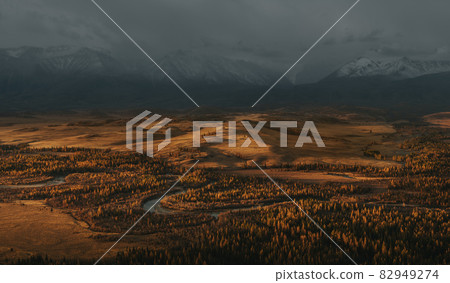 Winding river in the mountain valley. Yellow larch forest. Snow peaks in the background. 82949274