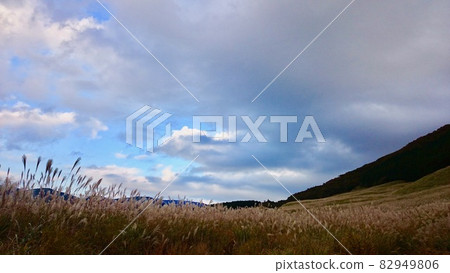 Sengokuhara Susuki grassland and sky 82949806