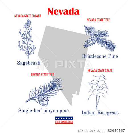 Nevada. Set of USA official state symbols 82950167