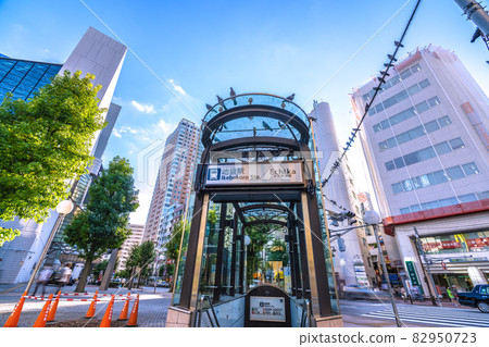 View of Tokyo cityscape in Japan, such as Ikebukuro station (doorway) and pigeons that live in the city View of Tokyo cityscape in Japan, such as Ikebukuro station (doorway) and pigeons that live in the city 82950723