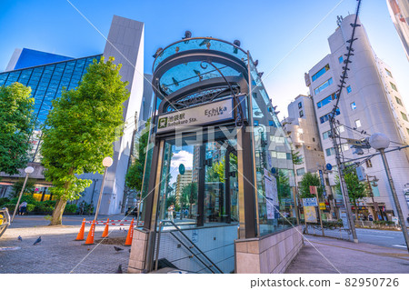 View of Tokyo cityscape in Japan, such as Ikebukuro station (doorway) and pigeons that live in the city 82950726