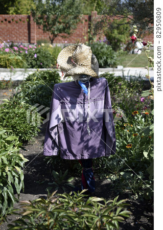 Garden scarecrow from crows in the garden Garden scarecrow from crows in the garden 82950809