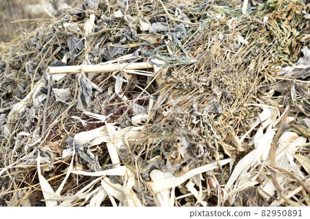 Dry plants in a compost pit in autumn Dry plants in a compost pit in autumn 82950891