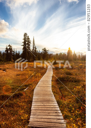 Hiking trail outdoors in Canadian nature. 82951283