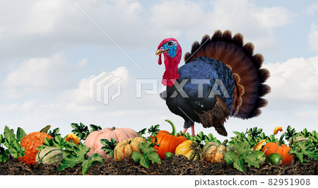 Thanksgiving Turkey Farm Thanksgiving Turkey Farm 82951908