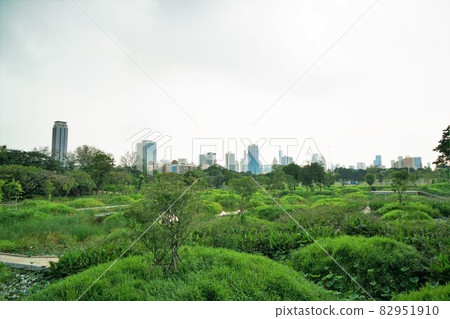 泰國曼谷的公園“Benjakitti 新公園”“Benjakitti 森林公園”“Benjakitti 公園” 泰國曼谷的公園“Benjakitti 新公園”“Benjakitti 森林公園”“Benjakitti 公園” 82951910