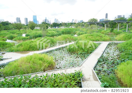 曼谷 新景點 景點 82951923