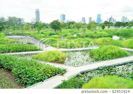 Benjakitti（新森林）公園，泰國曼谷的新景點 82951924