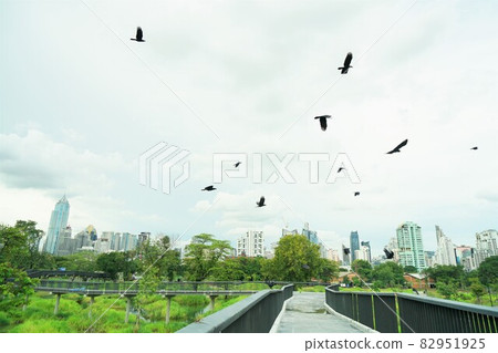 曼谷 新景點 景點 82951925