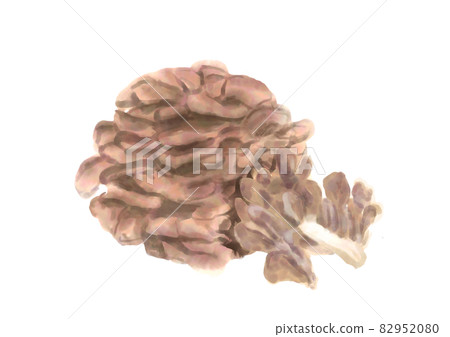 Hand-painted Maitake mushroom Hand-painted Maitake mushroom 82952080