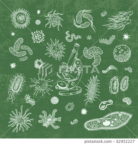 Simple set of bacteria virus icons for web design Simple set of bacteria virus icons for web design 82952227