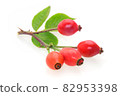 Branch of rose hips with green leaves isolated on a white background in close-up 82953398