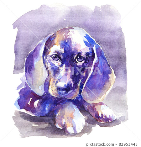 Watercolor portrait of dachshund 82953443