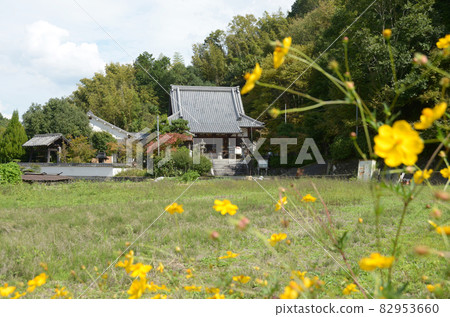 Giant Road Anrakuji Main Hall Furuse, Gose City, Nara Prefecture 82953660