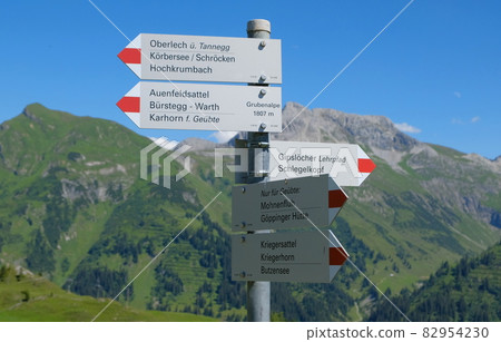 high view of the alps in austria high view of the alps in austria 82954230