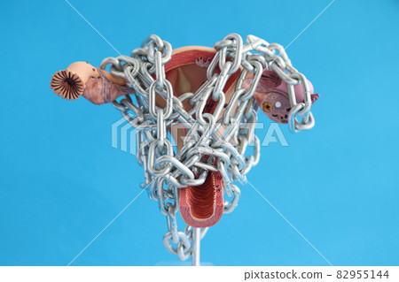 Female reproductive system is wrapped in chrome chain closeup 82955144