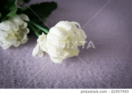 菊花背景材料弔唁訃告 菊花背景材料弔唁訃告 82957493