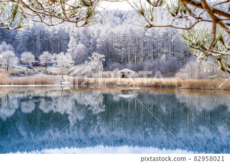 【冬季素材】日尻高原的霧凇和倒影【長野縣】 【冬季素材】日尻高原的霧凇和倒影【長野縣】 82958021