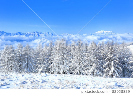 冬季Kirigamine高原 82958829