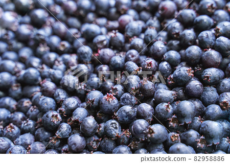 Garden purple berry. Shadberry. Nature breakfast vegan ingredient. Summer food Garden purple berry. Shadberry. Nature breakfast vegan ingredient. Summer food 82958886